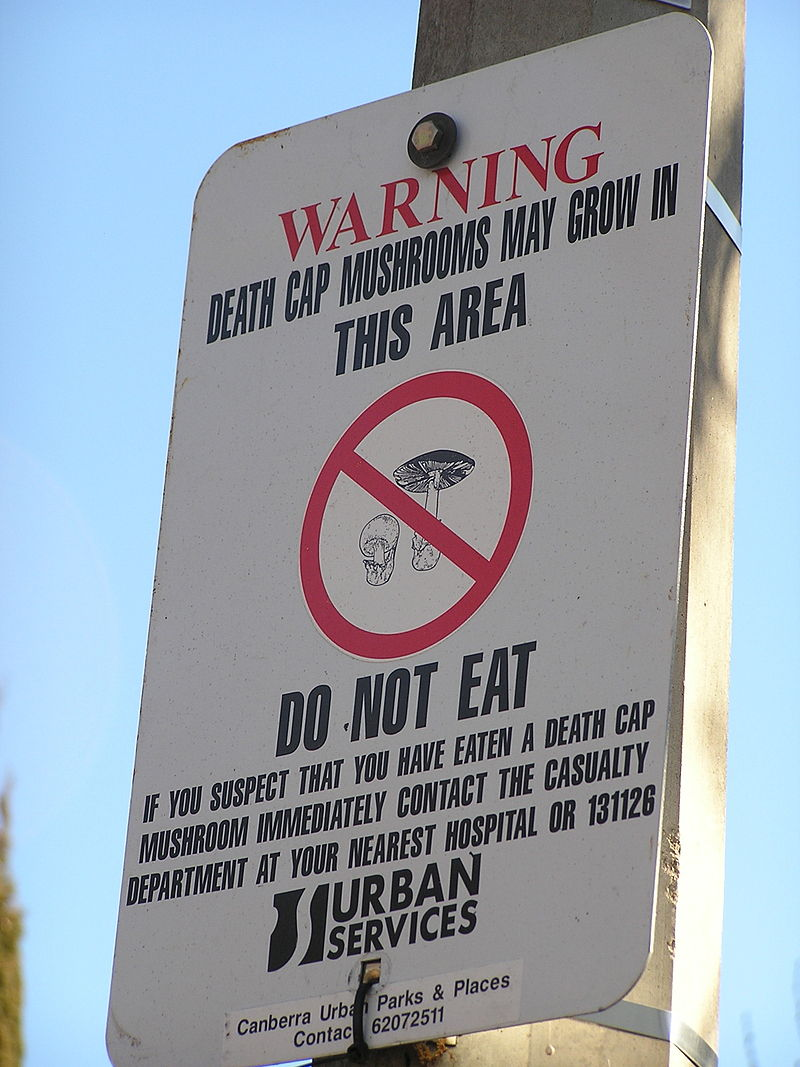 Cartel de advertencia por setas tóxicas en Australia. Wikimedia Commons